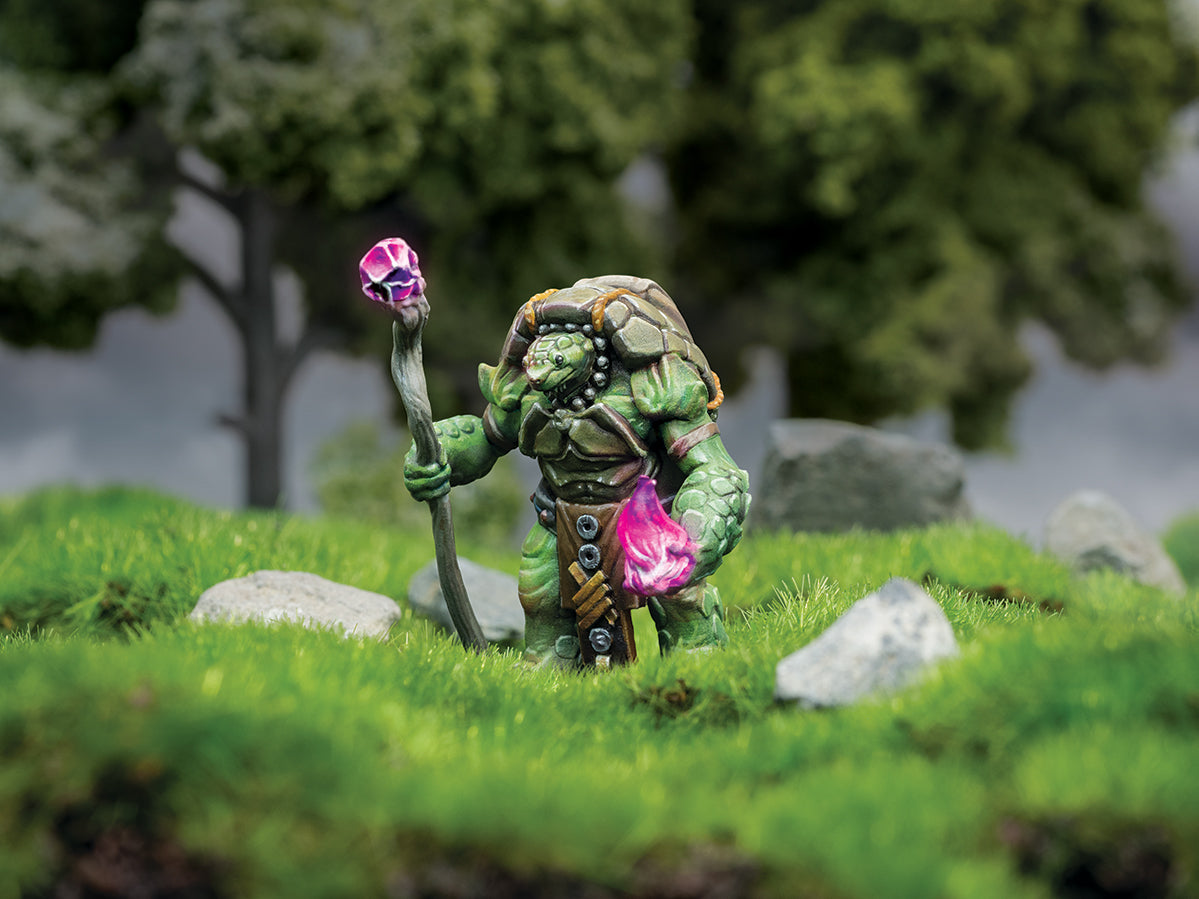 Aristurtle - Lightly Armored Turtlefolk