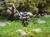 Bulwark - Heavy Armored Forged