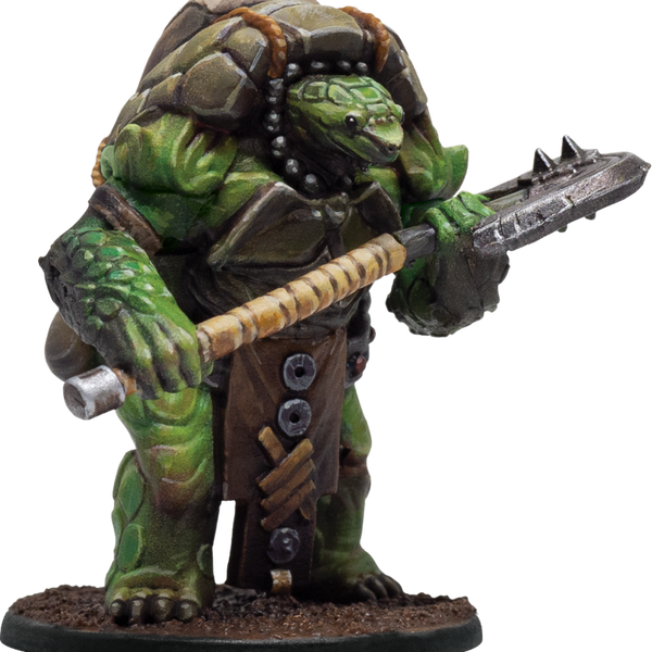 Aristurtle - Lightly Armored Turtlefolk - AAMinis